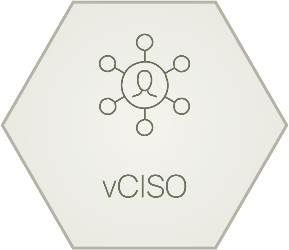 virtual-CISO_hex_hover